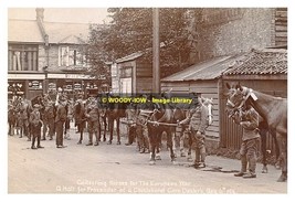 rp10360 - Army Collecting Horses for WWI , Chislehurst , Kent - print 6x4 - $2.80