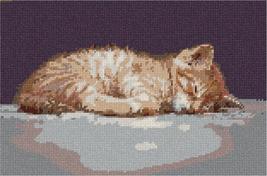 Pepita Needlepoint Canvas: Cat Nap, 12&quot; x 8&quot; - £68.58 GBP+