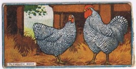 Cowan Co Toronto Card Plymouth Rock Chicken Series - £7.78 GBP