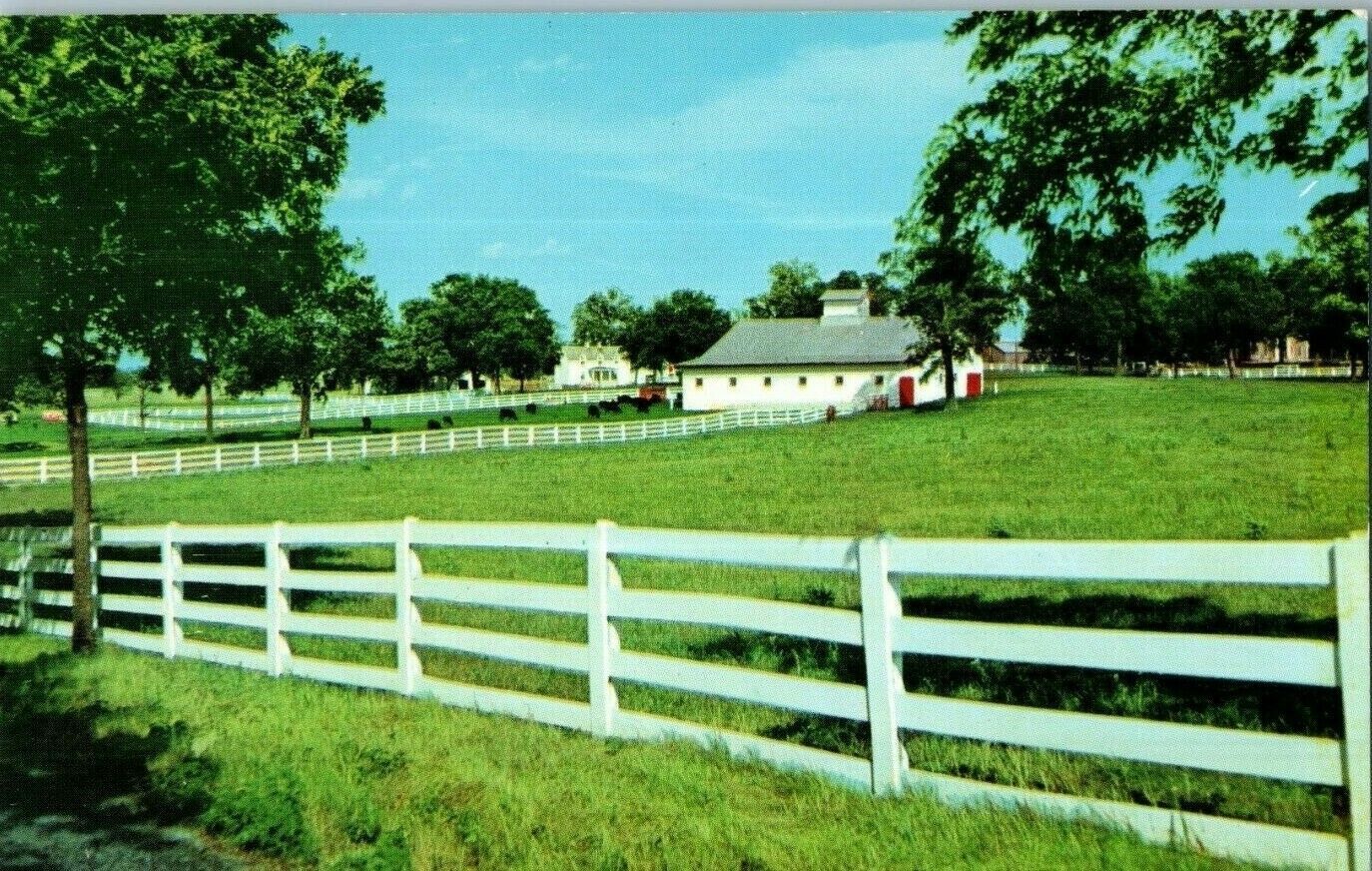 Picturesque Horse Farm in the Heart of the Bluegrass Region Kentucky Pos... - $4.42