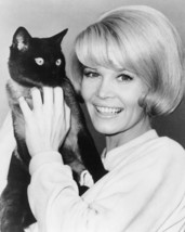 Dorothy Provine 8x10 Photo That Darn Cat Disney - £6.17 GBP