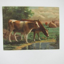 Victorian Trade Card LARGE Cows on Heath Acme Coffee Bufford Boston Antique - £19.65 GBP