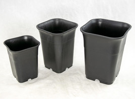 Mixed Square Plastic Cascade Bonsai Training Pot, Orchid Planter 3.25&quot; t... - $239.60 MXN+