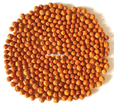 Rudraksh Rudraksha Lose Perlen Heilige Hindu 540 + 5 Perlen 8 Mm... - £27.62 GBP