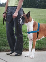 PetSafe Deluxe Easy Walk Steel Dog Harness Black/Ocean 1ea/LG - £41.11 GBP