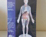 Skilcraft Visible Woman Anatomy Model Kit SEALED Anatomy Physiology 7462... - $23.36
