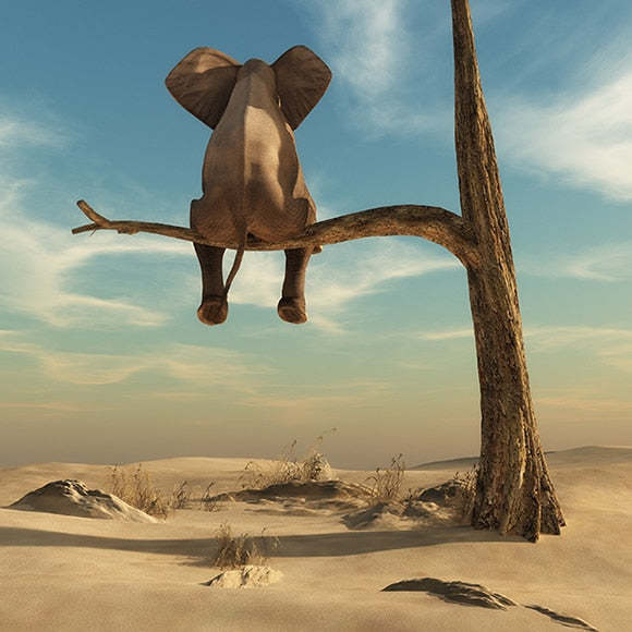 Kids Room Funny Little Elephant on Tree Modern HQ Canvas Print Painting Wall Art Item image 4
