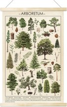 Vintage Tree Poster Plant Wall Art Prints Rustic Style Of Arboretum Wall Hanging - £30.52 GBP