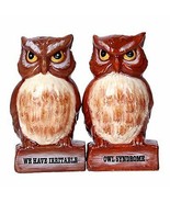 Irritable Owls Syndrome Magnetic Salt and Pepper Shaker Set Decor - $23.23 CAD