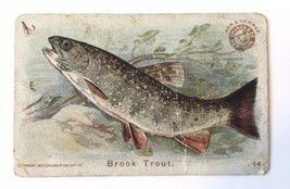 c1900 Antique card FISH SERIES - Brook Trout #14 - ARM &amp; HAMMER Church &amp;... - $20.00