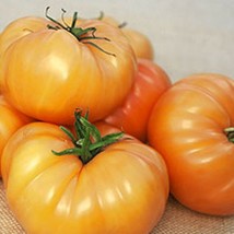 50 Kellogg&#39;S Breakfast Tomato Seeds Non Gmo Fresh Harvest For 2024 GardensFrom U - $8.35