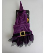 Thrills &amp; Chills Collection Halloween Witch Reptile Costume For Bearded ... - €4,21 EUR