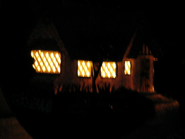 Item image 11