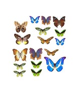 17 Butterfly Decals - Sizes Shown On Example Image Below - $646.25 MXN