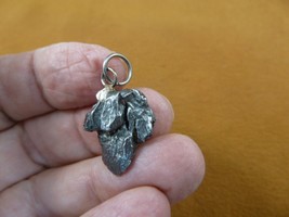x260-23) 4.6g Campo del Cielo meteorite natural shape space pendant iron... - $32.71