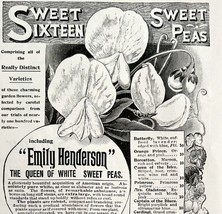 Henderson Sweet Pea Flowers 1894 Advertisement Victorian Gardening DWKK16 - $19.99