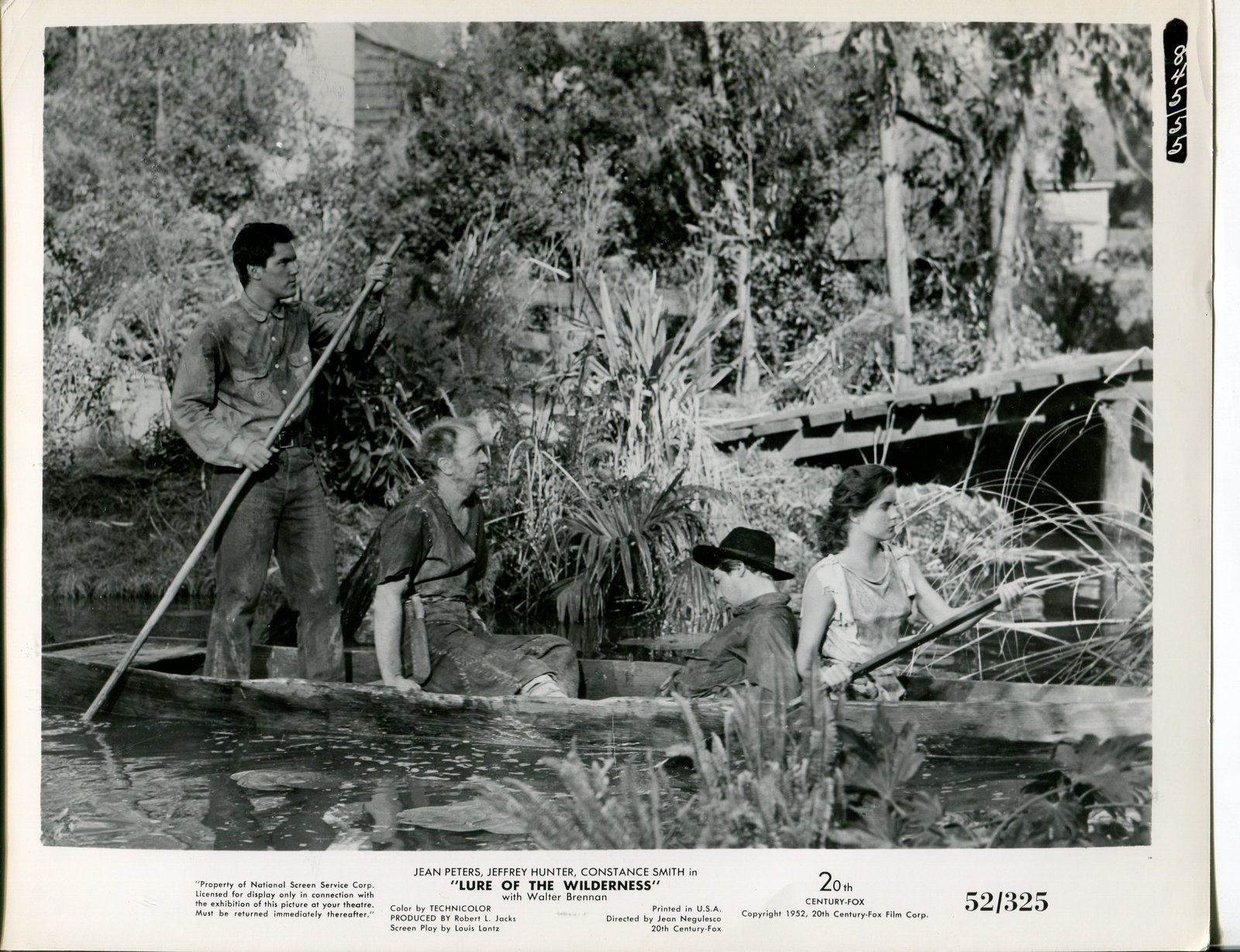 Primary image for 1952 Lure of the Wilderness Jean Peters Jeffrey Hunter Press Photos Movie Film 
