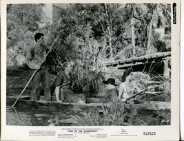 1952 Lure of the Wilderness Jean Peters Jeffrey Hunter Press Photos Movi... - $5.98
