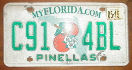 License plate Florida Pinellas County Sunshine State AutoTWO (2) Florida Panther - £24.80 GBP