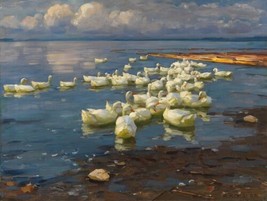 painting Giclee Art Alexander Koester ducks in the lake Various Sizes Print - £6.90 GBP+