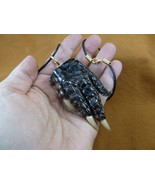 (G133-39) 3&quot; GATOR Aligator ALLIGATOR Claw foot hand pendant NECKLACE FL... - $34.10 CAD