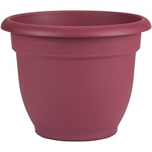 Bloem AP1612 Ariana Planter with Water Grid Insert, 16&quot;, Union Red - $37.80