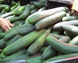 50 Straight Eight Cucumber Seeds Heirloom Non Gmo Organic Fresh Fast Shi... - $8.99