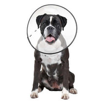 ZenPet E-Clear Plastic Recovery Collar 1ea/XL - £11.83 GBP