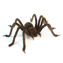 Hansa Huntsman Spider (50cm L) - £68.09 GBP