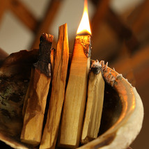 Peru Sacred Wood Logs Palo Santo Natural Aromatherapy Gas Field Space Magnetic F - £8.96 GBP+