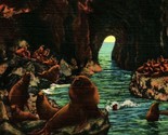 Sea Lions In Caves Oregon Coast Highway OR UNP Vtg Linen Postcard - $3.91