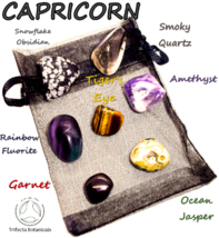 CAPRICORN ~ Mini Zodiac Healing Crystals ~ Pocket Stone Set ~ Astrology Gift - £11.42 GBP