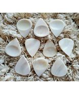 Set of 10 Camel Bone Handcrafted Guitar picks with thumb and finger impr... - £19.59 GBP