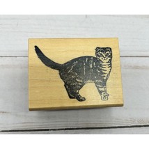 All Creatures Cute Cat Kitten Wood Mounted Rubber Stamp Scrapbooking Crafts - £5.93 GBP