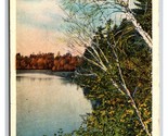 Wilson Creek Menomonie Wisconsin WI WB Postcard Y14 - $2.92