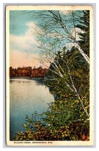 Wilson Creek Menomonie Wisconsin WI WB Postcard Y14 - £2.30 GBP