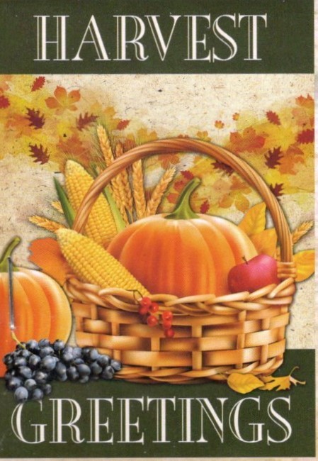 Primary image for Harvest Greetings Garden Flag-2 Sided Message,12" x 18"