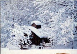 Postcard Vermont Authentic Sugarhouse Photograph 4 x 6 Inches - £4.71 GBP