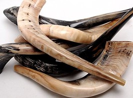 Authentic &amp; Polished Shofar (Size 50cm-60cm) - $52.82