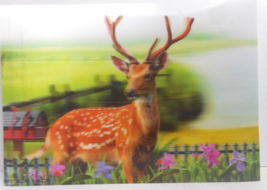 3D Wildlife HOLOGRAM Lenticular Poster Spotted Deer w Velvet Plastic Pla... - £11.91 GBP