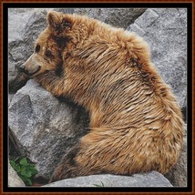 Bear Nap ~~ counted cross stitch pattern PDF - $15.99