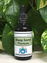 Sheep Sorrel Tincture - Alcohol Free Rumex acetosella Extract - Cold Cured - £2.33 GBP+