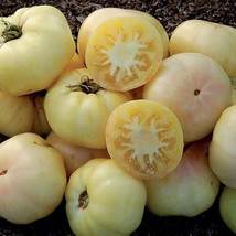 50 Seeds White Beauty Tomato Vegetable Garden Edible Canning Fresh Seeds - $10.50