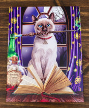 Witch Hocus Pocus Magic Wand Cat With Spellbook Wood Framed Canvas Wall ... - $18.99