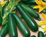 50 Black Beauty Zucchini Squash Heirloom Non Gmo Fresh Organic Fast Ship... - £7.22 GBP