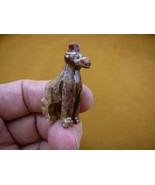 Y-GIR-30) red GIRAFFE African animal gem stone figurine SOAPSTONE PERU g... - $11.78 CAD