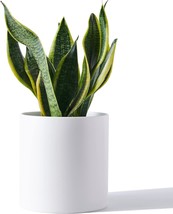 Indoor Tagobar Plant Pots - 6 Point 7 Inch Modern Ceramic Pots For Plant Flower - £30.38 GBP