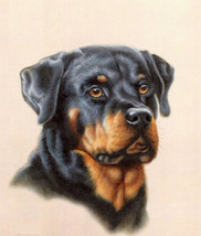 RottweiLer Dog Cross Stitch Pattern***LOOK*** - $2.95