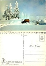 Bull Elk In The High Country The Magnificent Bull Elk Plowing Snow VTG Postcard - £7.38 GBP