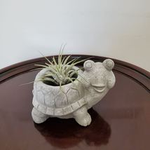 Cement Tortoise Planter with Air Plant, Animal Succulent Planter,Airplant Holder - £14.22 GBP